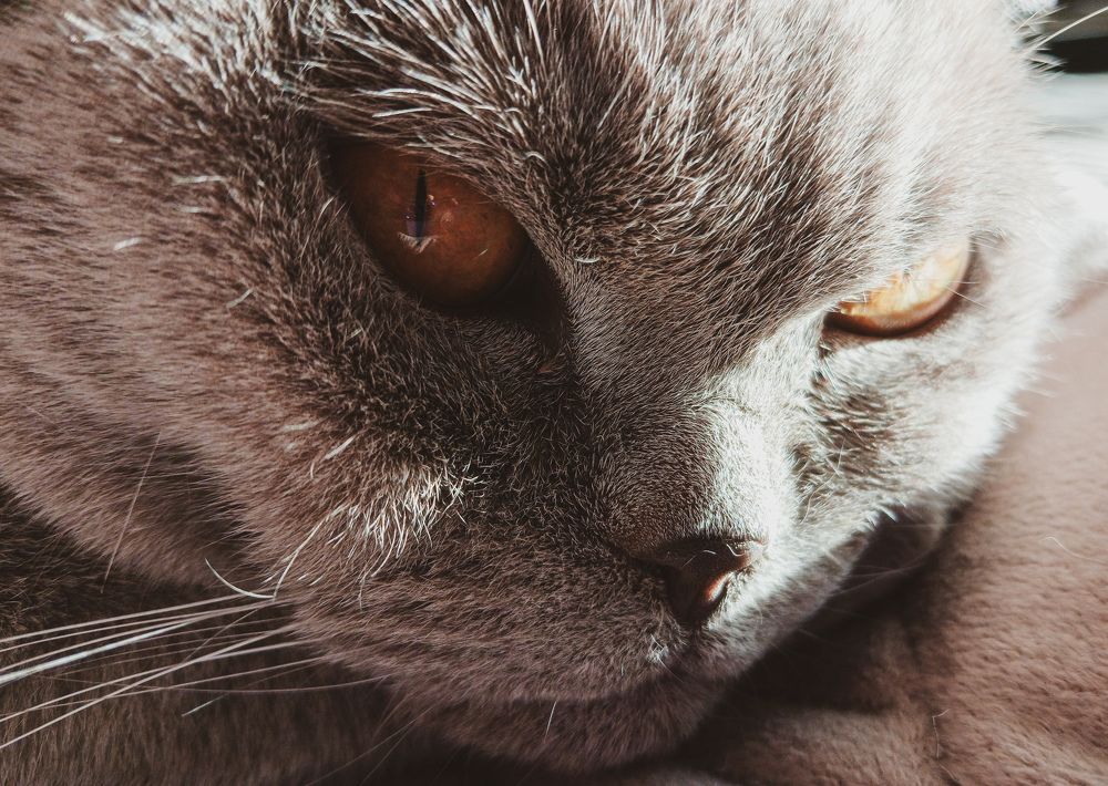 Фотография автора Валерия