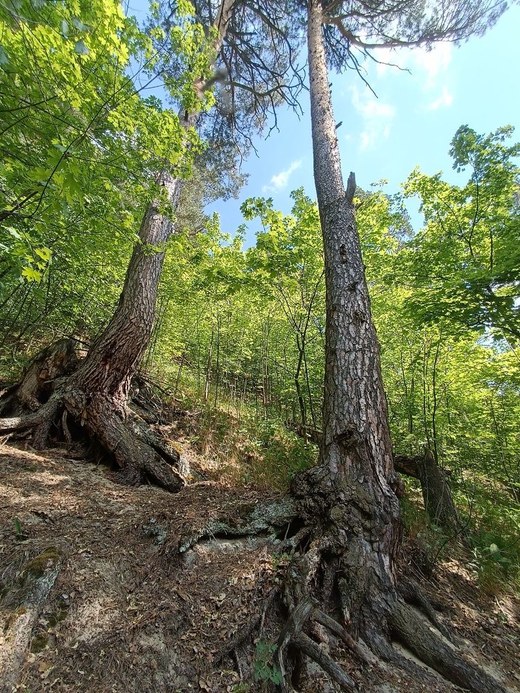 Photograph by Ксения Уварова