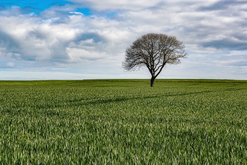 Photograph by Jacky Weckx