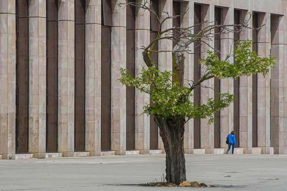 Photograph by Jacky Weckx