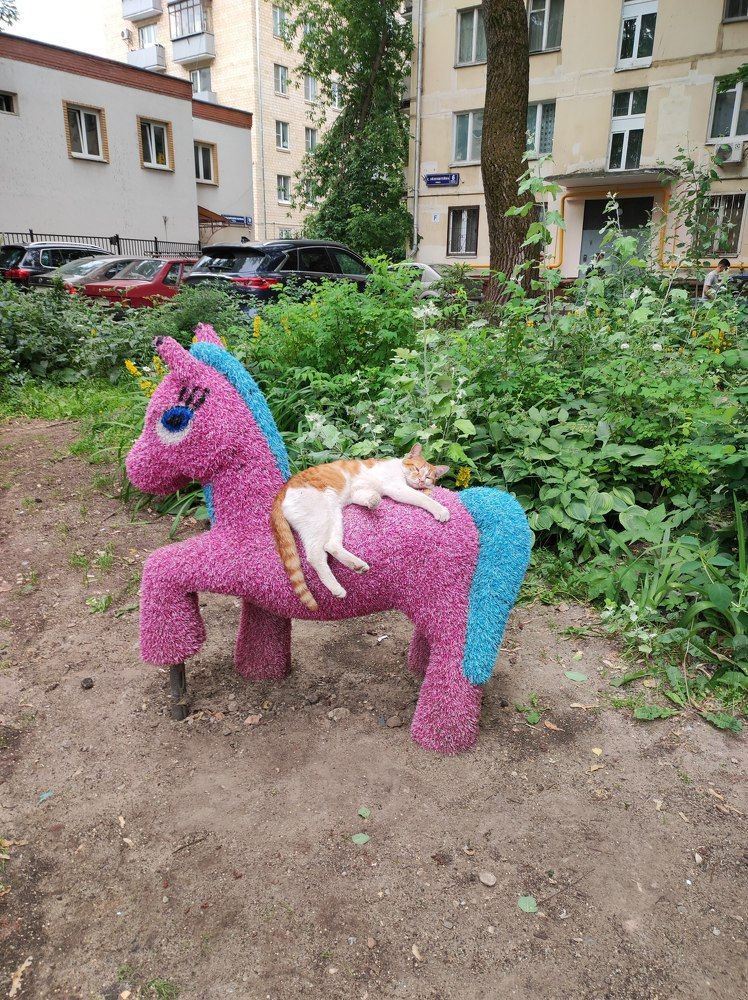 Photograph by Елена Казарина