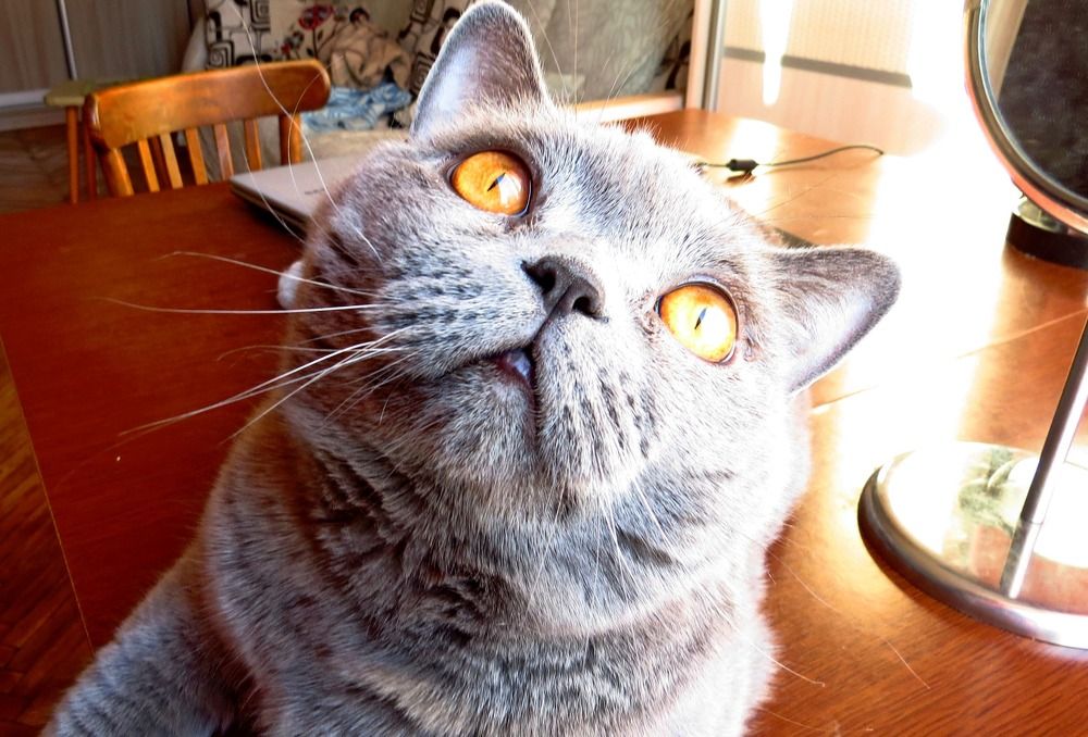 Photograph by Елена Казарина