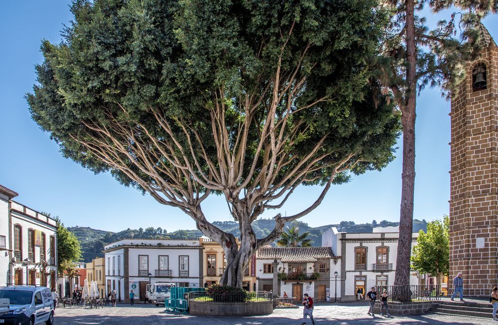 Photograph by Jacky Weckx