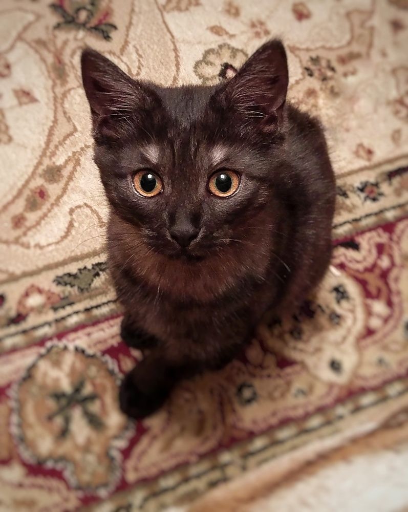 Photograph by Петр Поспелов