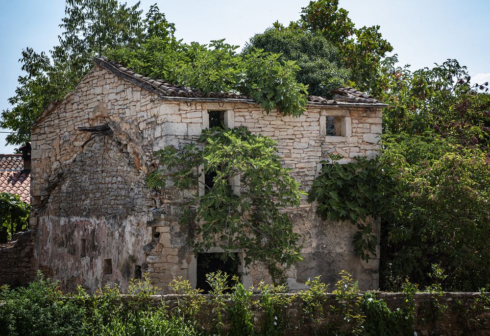 Photograph by Jacky Weckx