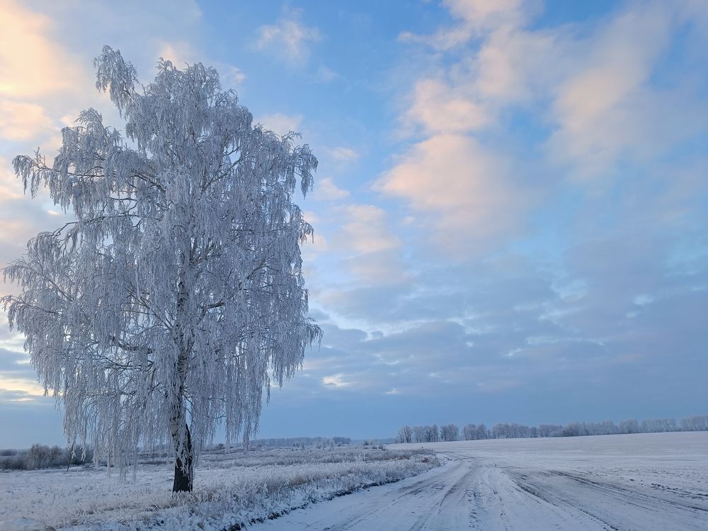 Photograph by Валерий Гудков