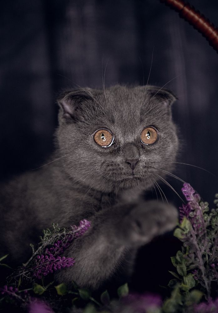 Photograph by Viktorija Gorovaja