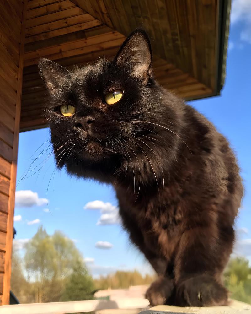 Photograph by Алёна Митькина
