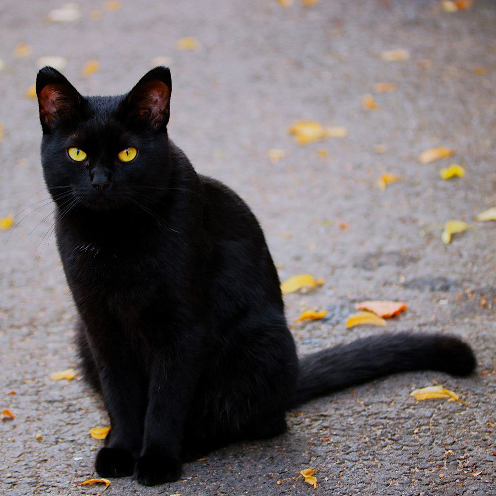 Photograph by Гагик Саркисян