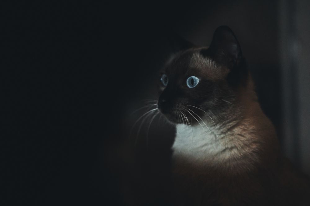 Photograph by Kike