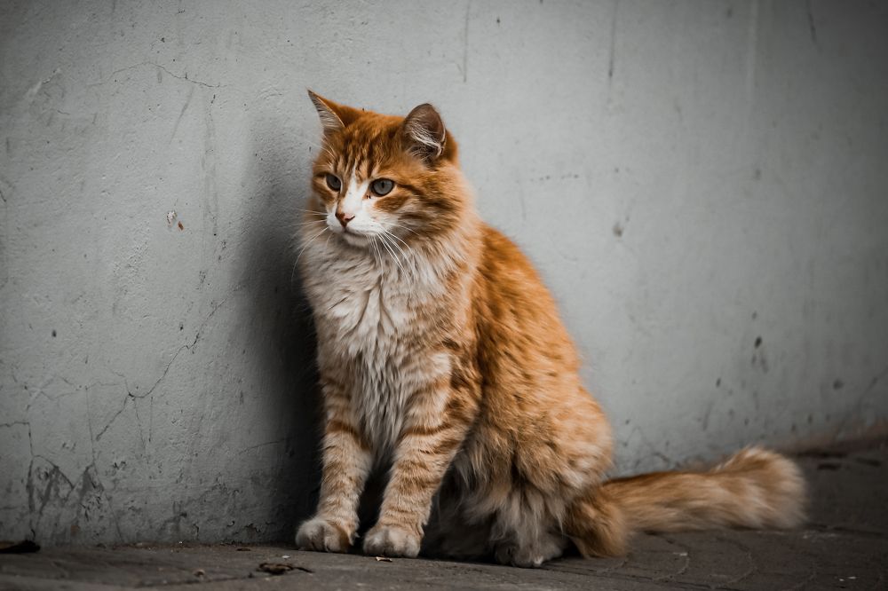 Photograph by Хельга Кольцова