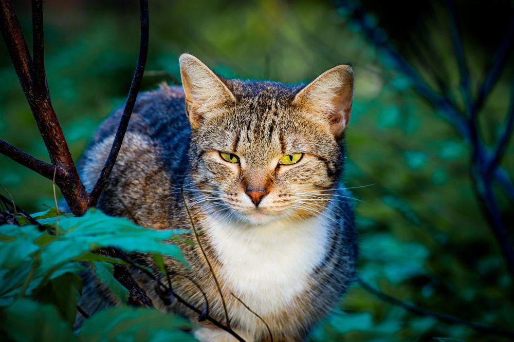 Photograph by Хельга Кольцова