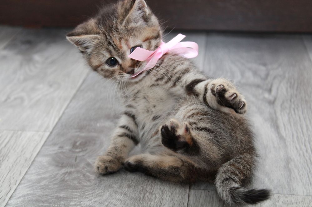 Photograph by Ольга Карпачева