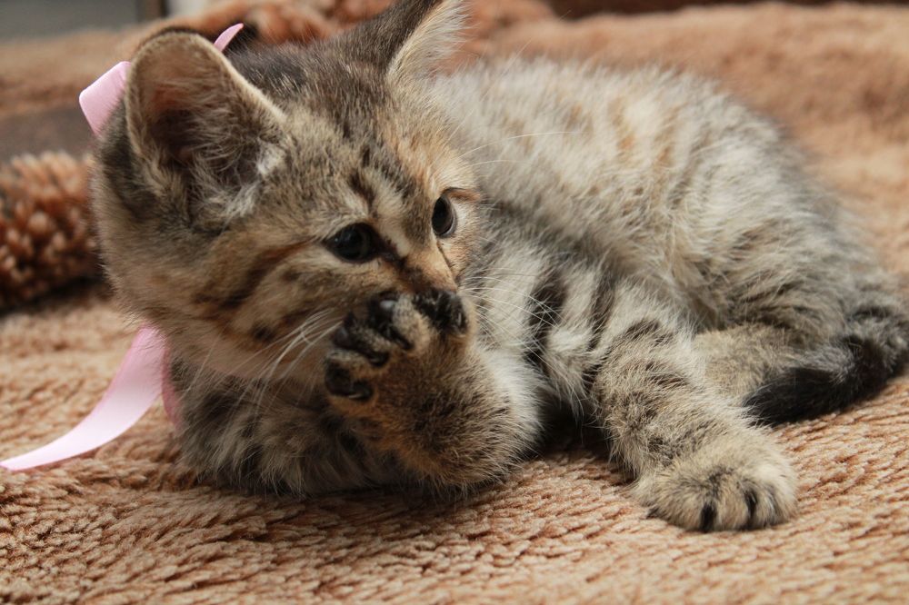 Photograph by Ольга Карпачева