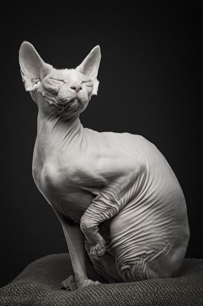 Photograph by Дёгтев Евгений