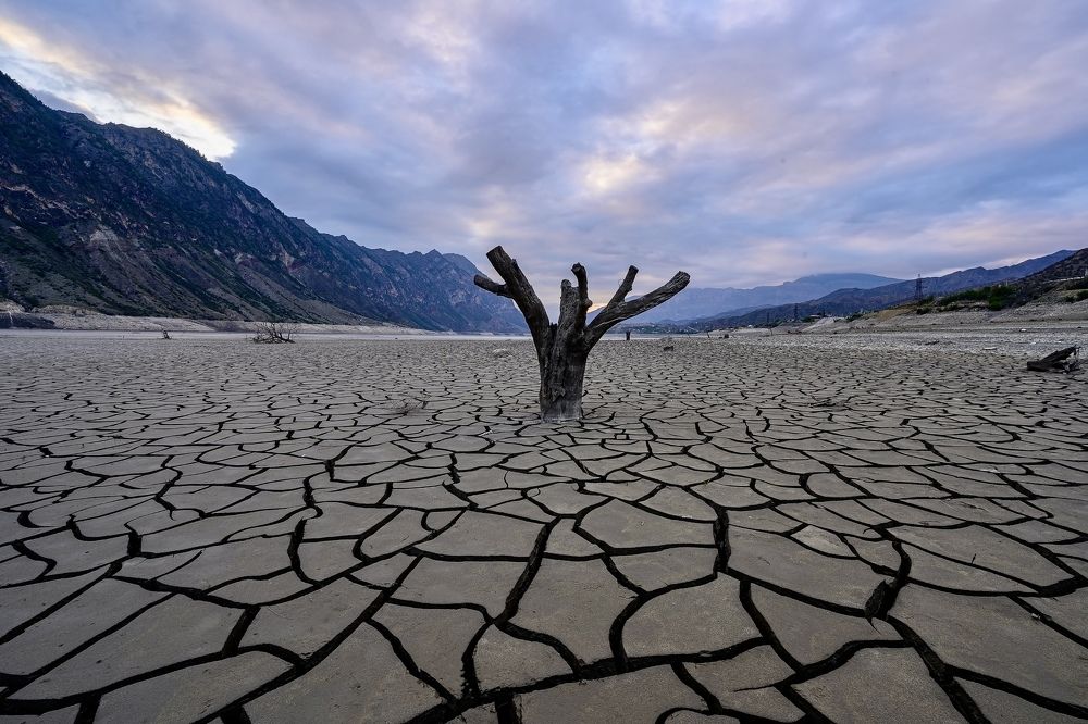 Photograph by Екатерина Рябкова