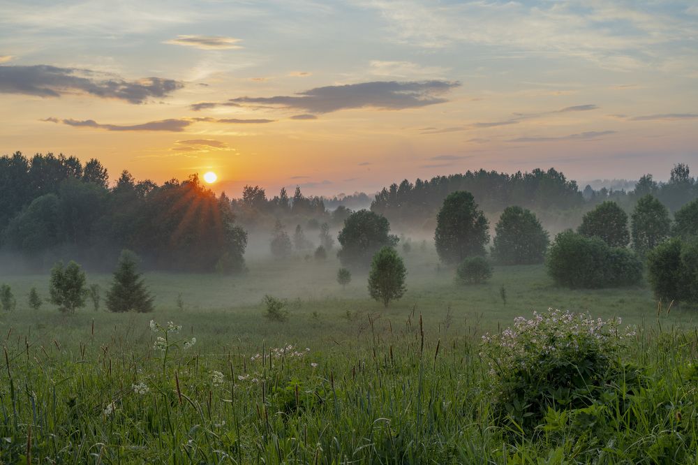Photograph by Максим Григорьев