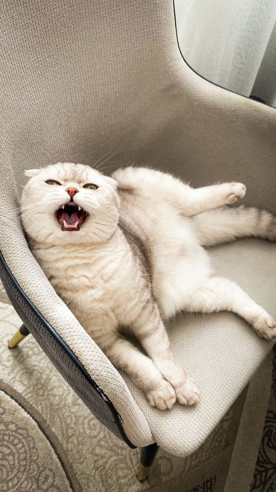 Photograph by Анастасия Лученок