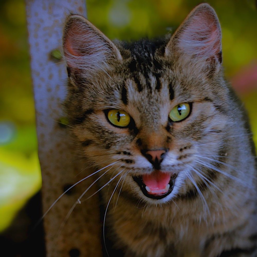 Photograph by Гагик Саркисян