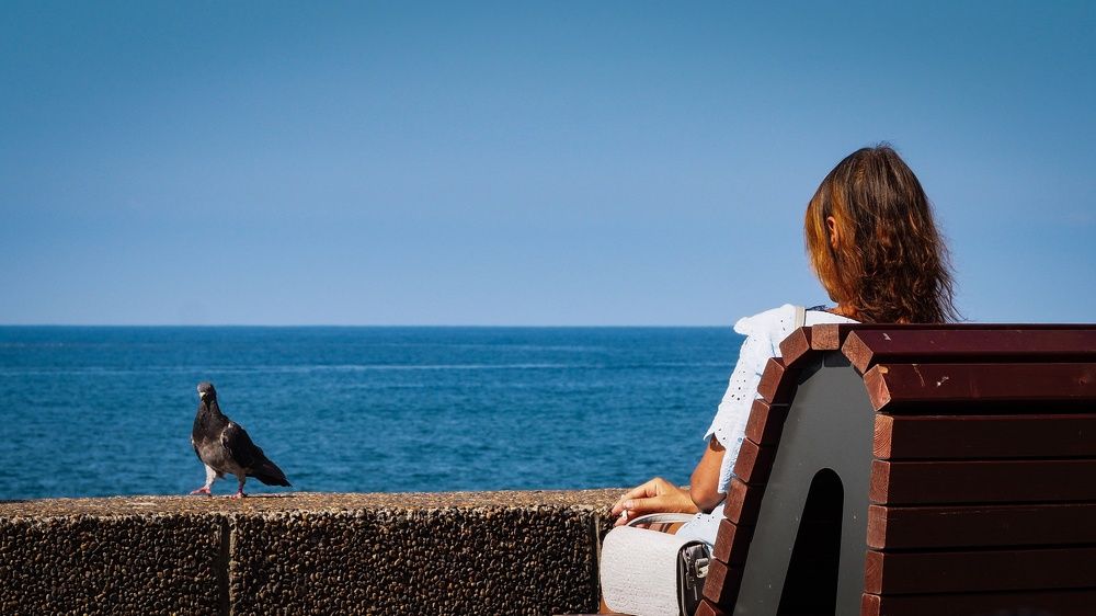 Где чайки, а?