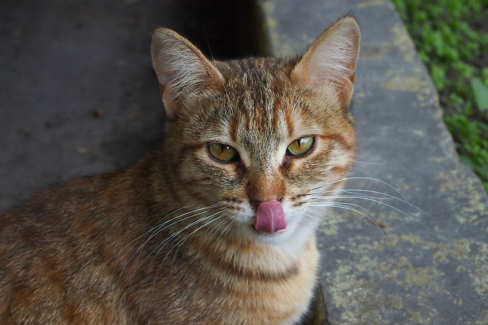 Photograph by Евгений Беленков