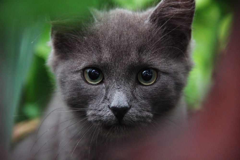 Photograph by Анна Любимова