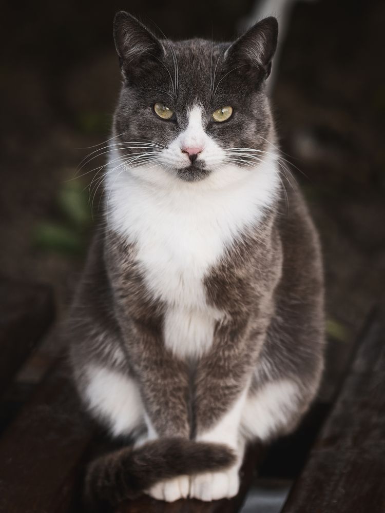 Photograph by Оксана Пономаренко