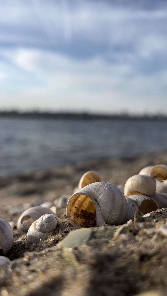 Photograph by Элеонора Ер