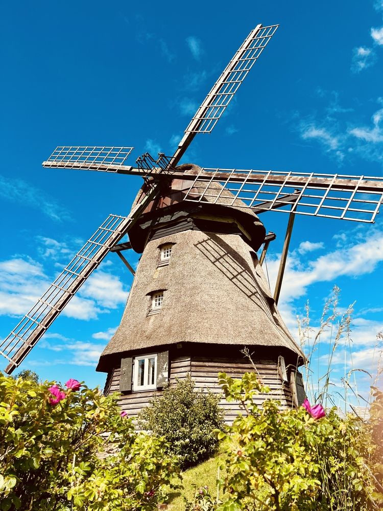 Photograph by Adriana smeu