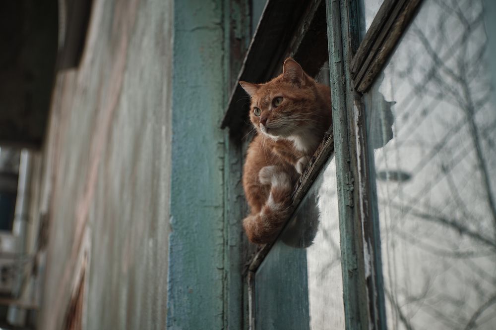 Photograph by Иванов Виктор