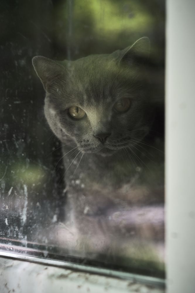 Photograph by Иванов Виктор