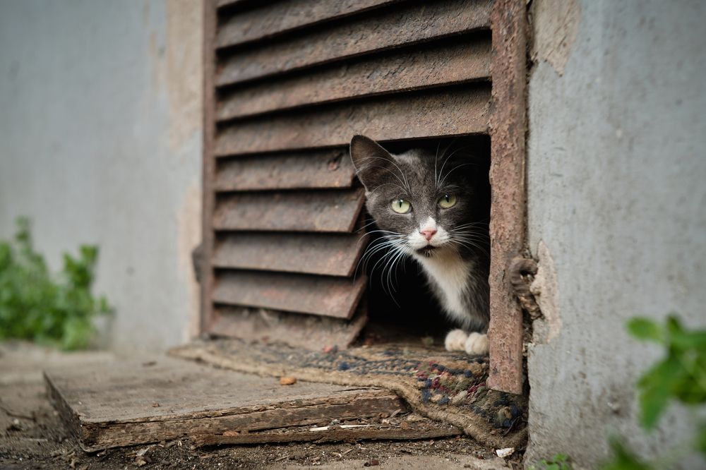 Photograph by Иванов Виктор