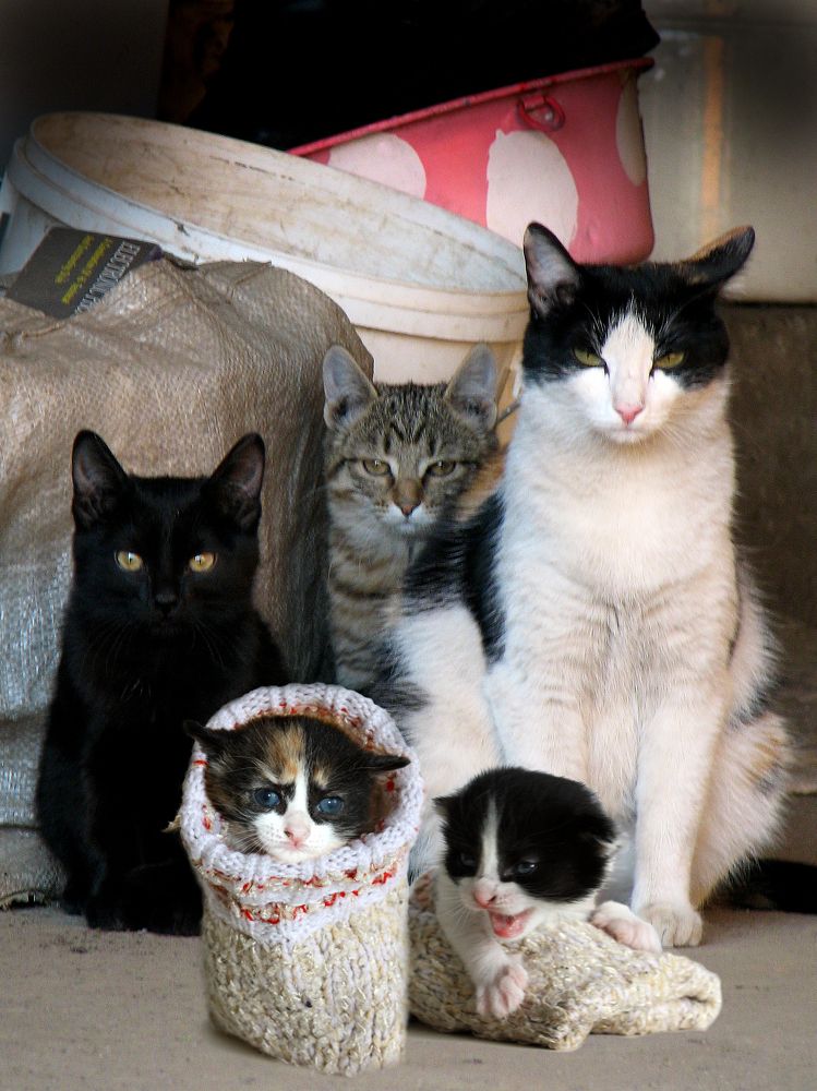 Photograph by виктор ковчин