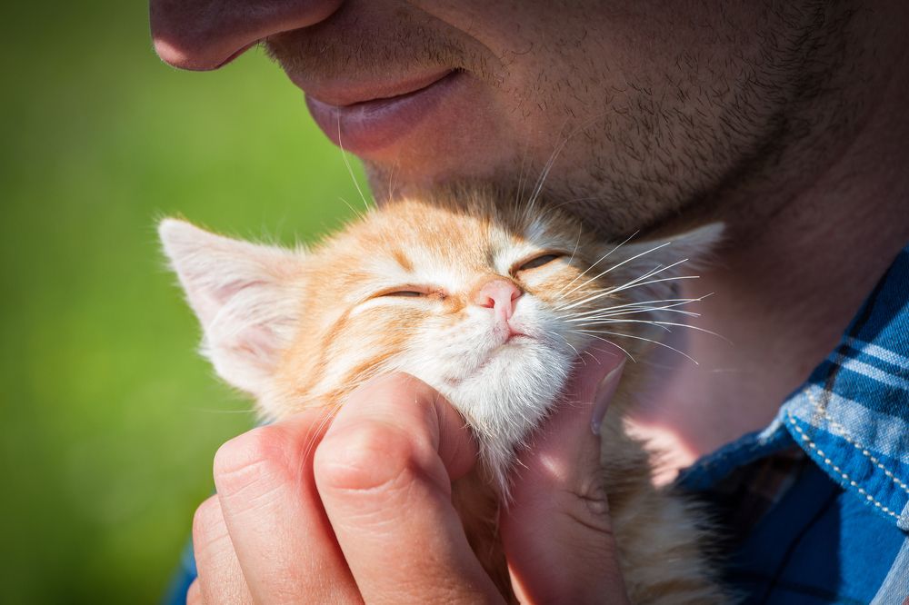 Photograph by виктор ковчин