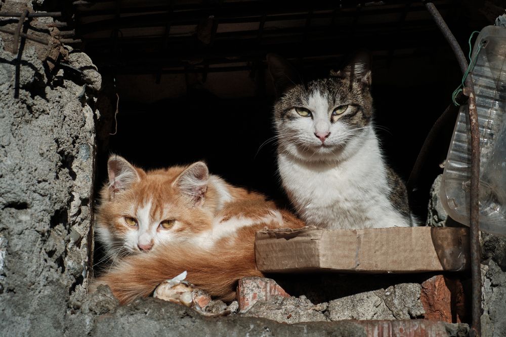 Photograph by Иванов Виктор