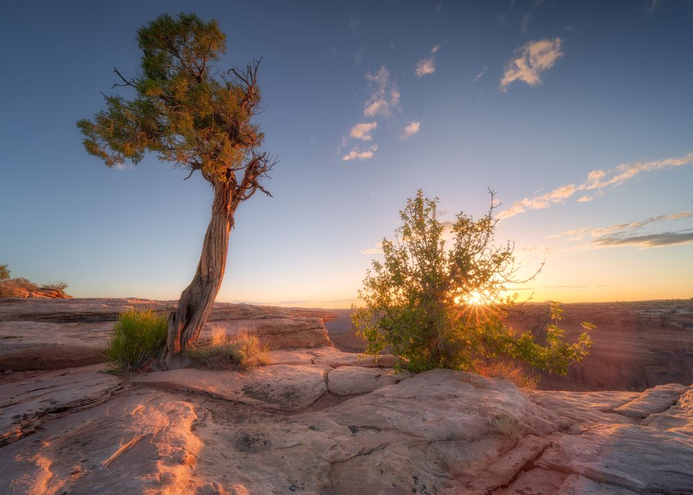 Фотография автора Kozlov Sergey