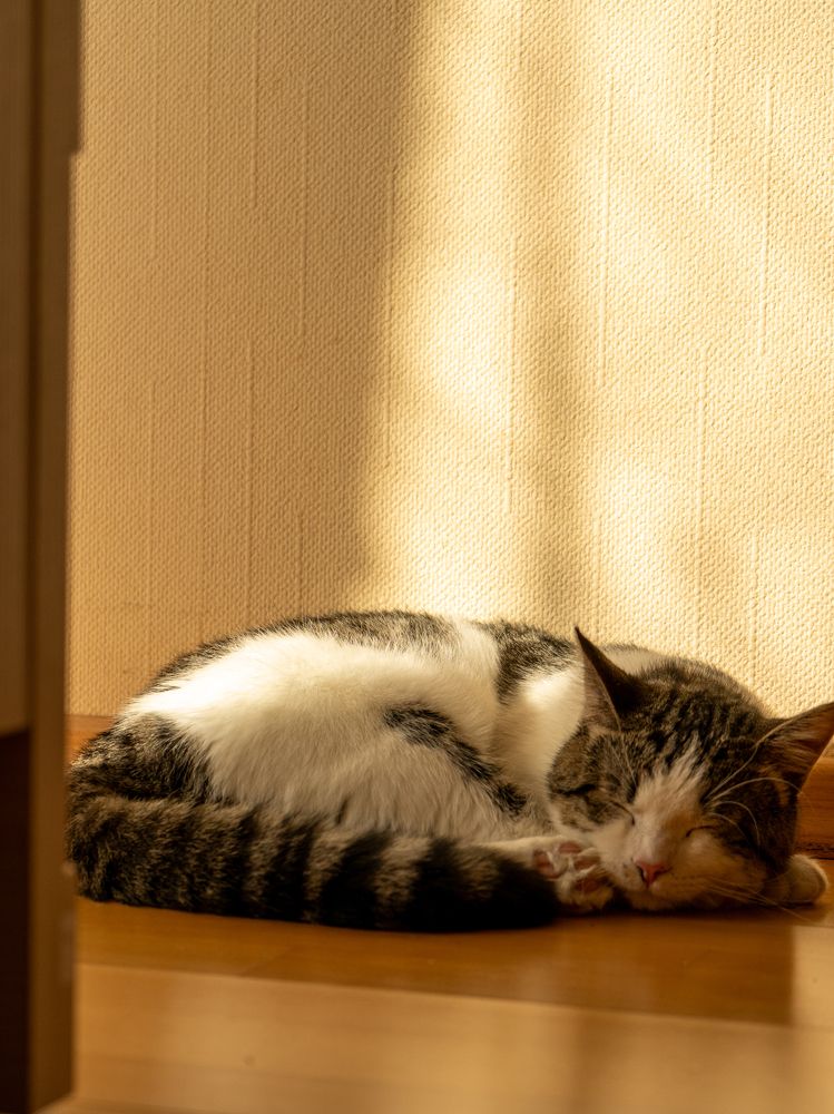 Photograph by Людмила