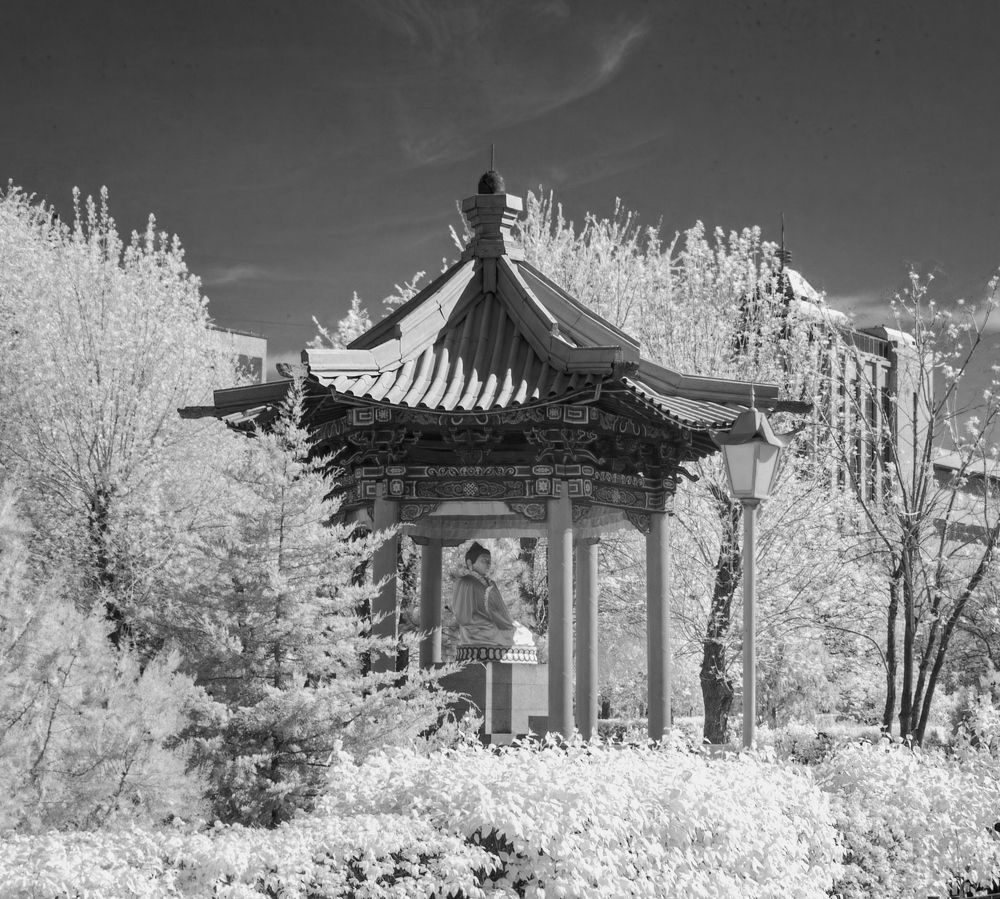 Photograph by Сергей Христинич