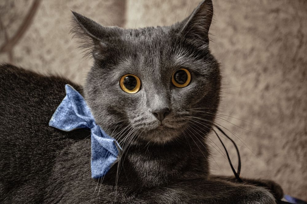 Photograph by Татьяна Ярмак