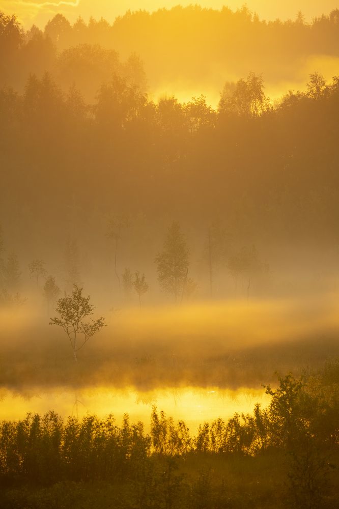 Photograph by Максим Григорьев