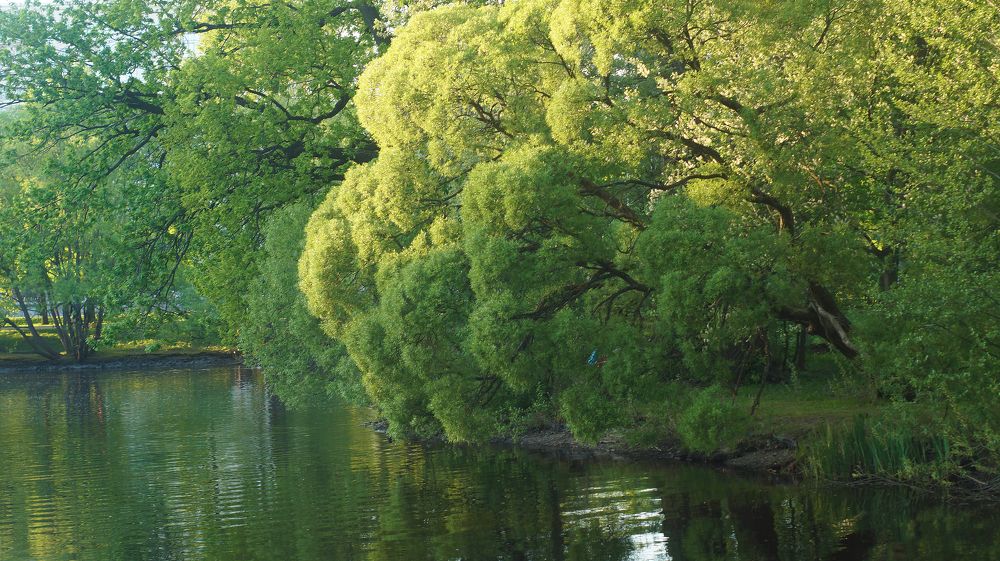 Фотография автора Юрий Цыркунов