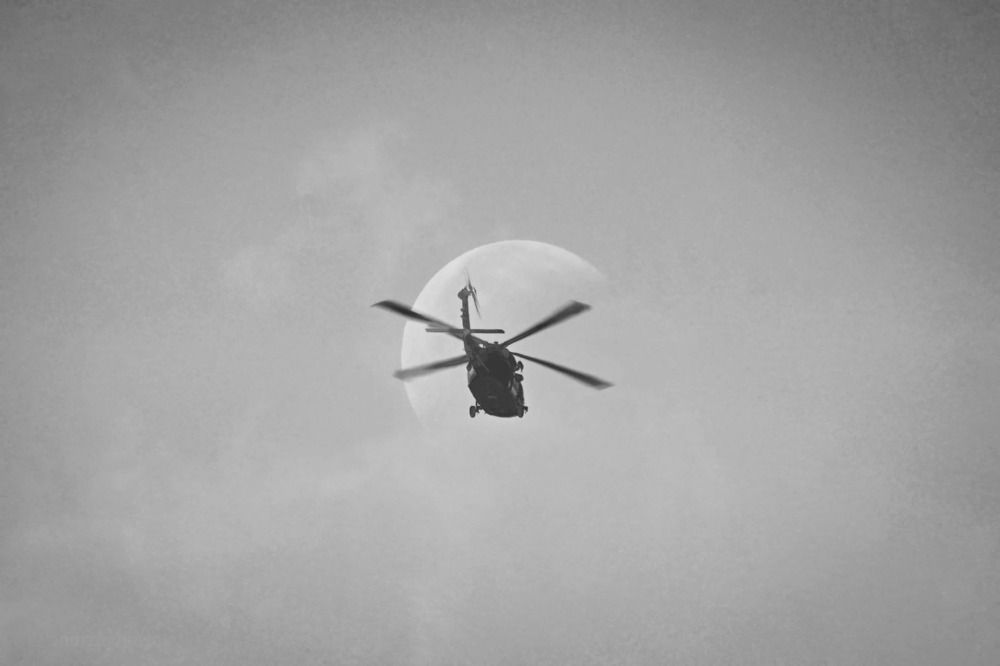 Photograph by andrzejnowak andrzejnowak