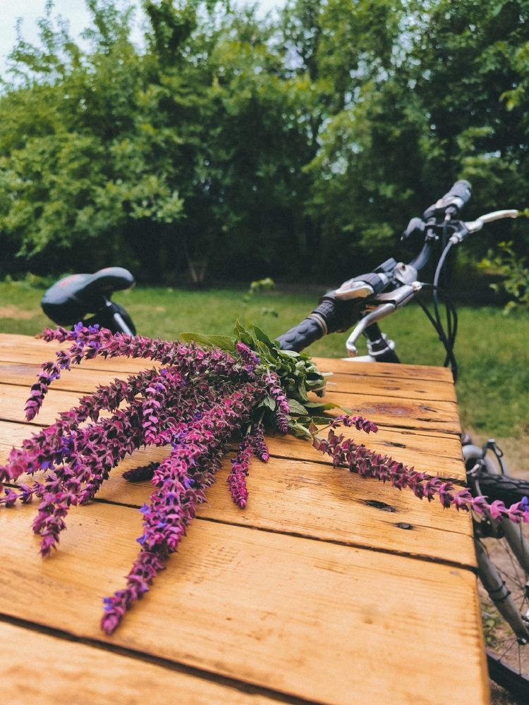 Фотография автора Екатерина Солодовник