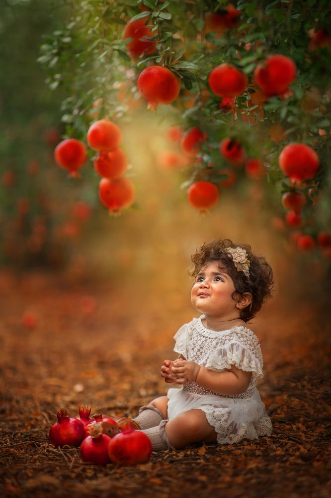 Photograph by Hamutal Avioz