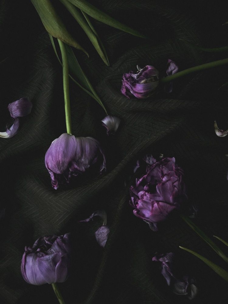 Фотография автора Екатерина Солодовник