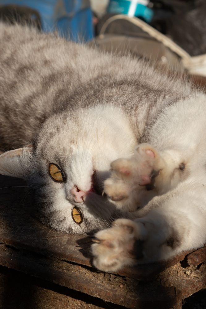 Photograph by Павел Герасимов