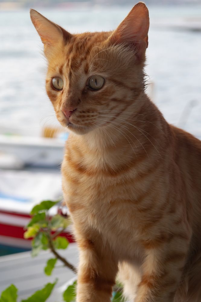 Photograph by Павел Герасимов