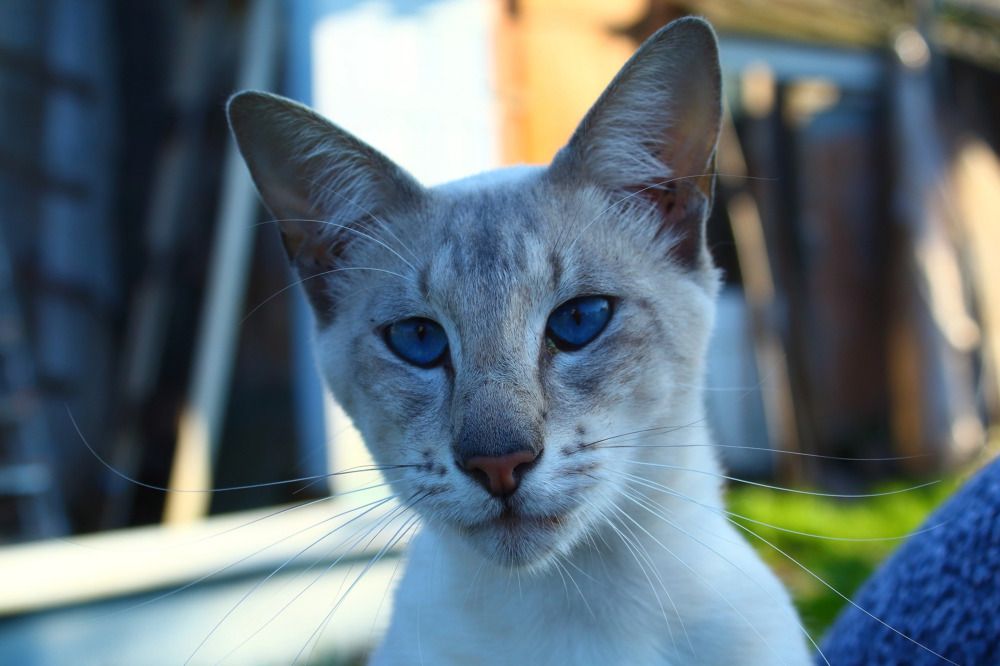 Photograph by Елена Наленч