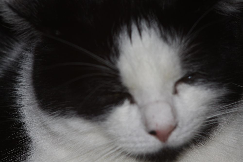 Фотография автора Сергей Яковлев