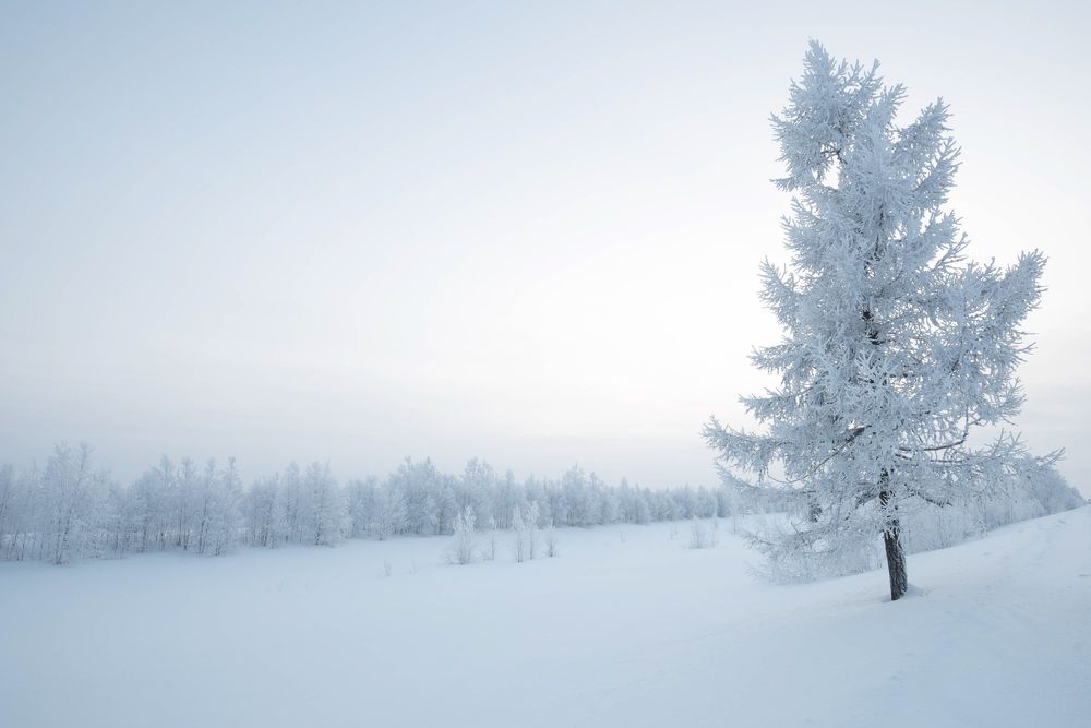 Photograph by Кадырова Марина